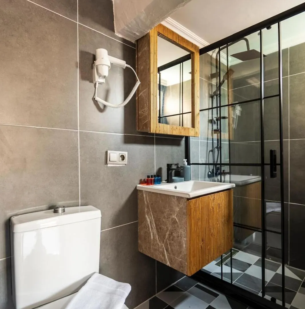 Leyan Suites Provincia di Provincia di Istanbul 0*,